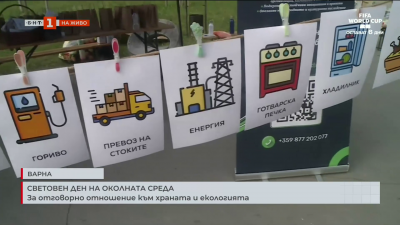 Световен ден на околната среда: За отговорно отношение към храната и екологията