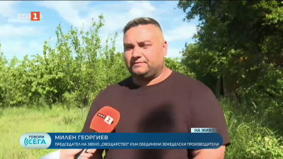 Каква ще е цената на българските череши