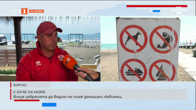 Влезе в сила забраната за домашни любимци на охраняемите плажове