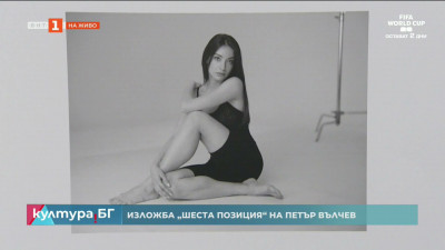 Изложба Шеста позиция на Петър Вълчев