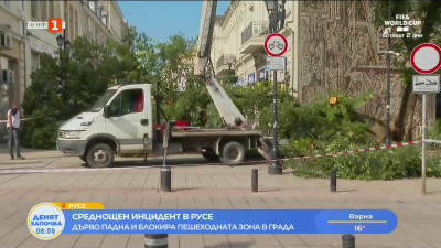 Паднало дърво блокира пешеходната зона в Русе