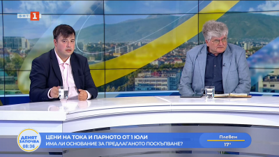 Има ли основание за предлаганото поскъпване на тока и парното - коментират експертите Цветомир Николов и Еленко Божков