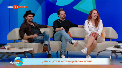 Лисицата и котараците – три гласа, хиляди истории