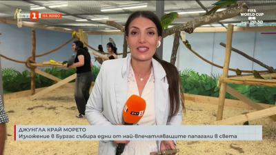Изложение в Бургас събира едни от най-впечатляващите папагали в света