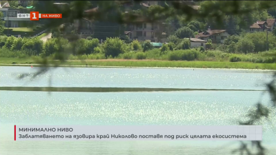 Заблатяването на язовира край Николово поставя под риск цялата екосистема