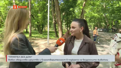 Приятел без дом - Ямбол обединява изкуство и благотворителност в подкрепа на бездомните животни