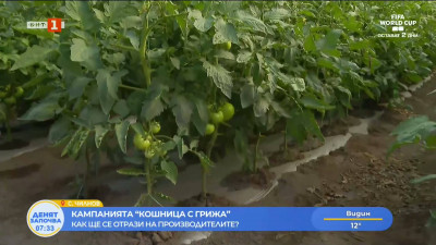 Дребни производители: евтиният внос обезсмисля мярката за по-ниски цени