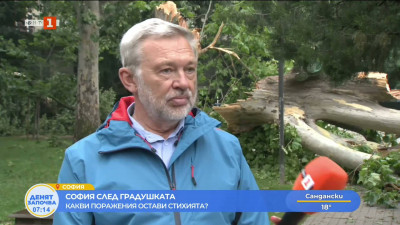 Продължава разчистването на столицата след вчерашната буря