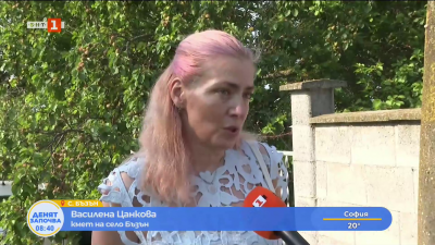 Сигнал за незаконен кучешки приют в с.Бъзън