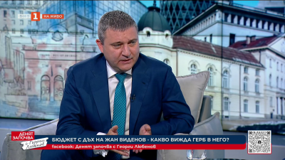 Горанов: Очаквахме по-амбициозни промени, които да нормализират фискалната рамка