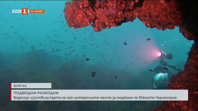Подводни разходки: Водолази изготвиха карта на най-интересните места за гмуркане по Южното Черноморие