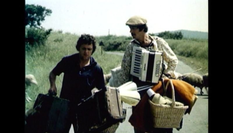 Щурец в ухото