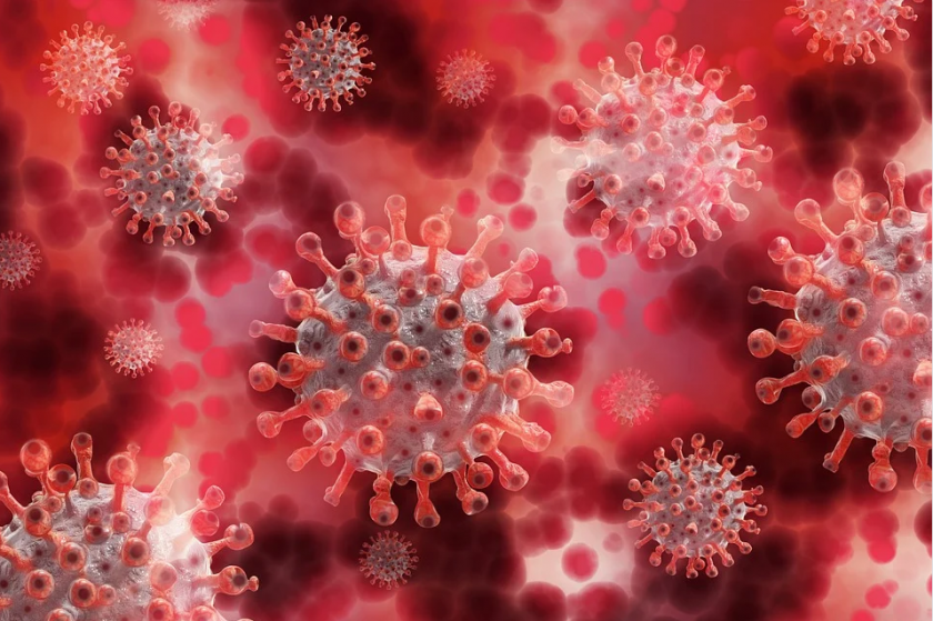 coronavirus bulgaria 210 new cases 174 recoveries deaths