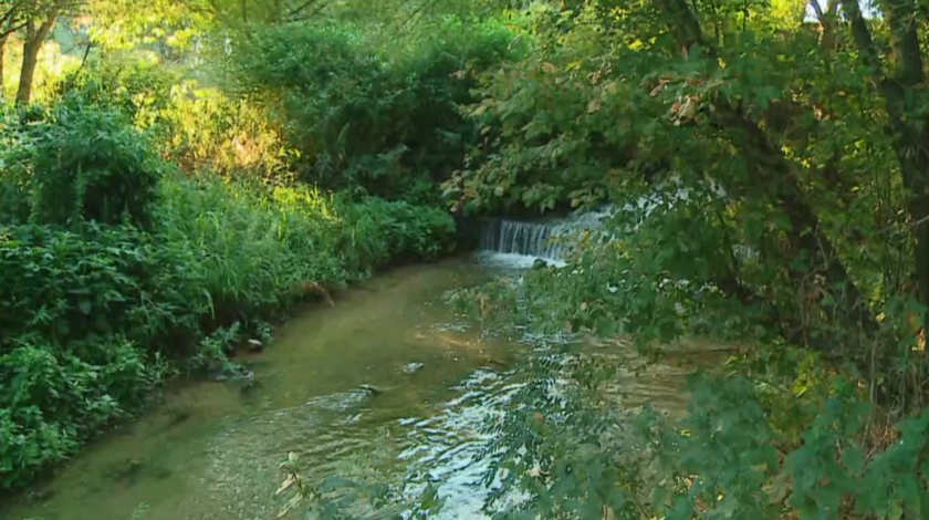 Pollution in the Maritsa: Nitrogen compounds found in its waters