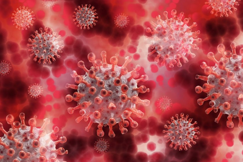 Coronavirus in Bulgaria: 255 new cases, 280 recoveries, 11 deaths