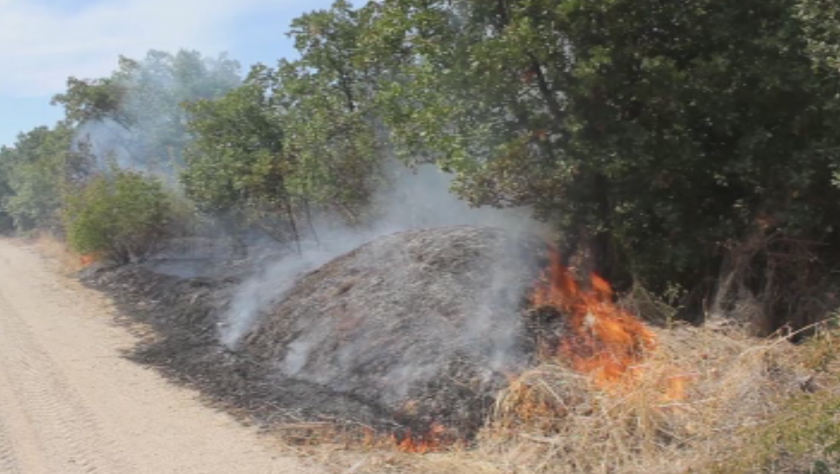 wildfire forest south bulgaria brought under control