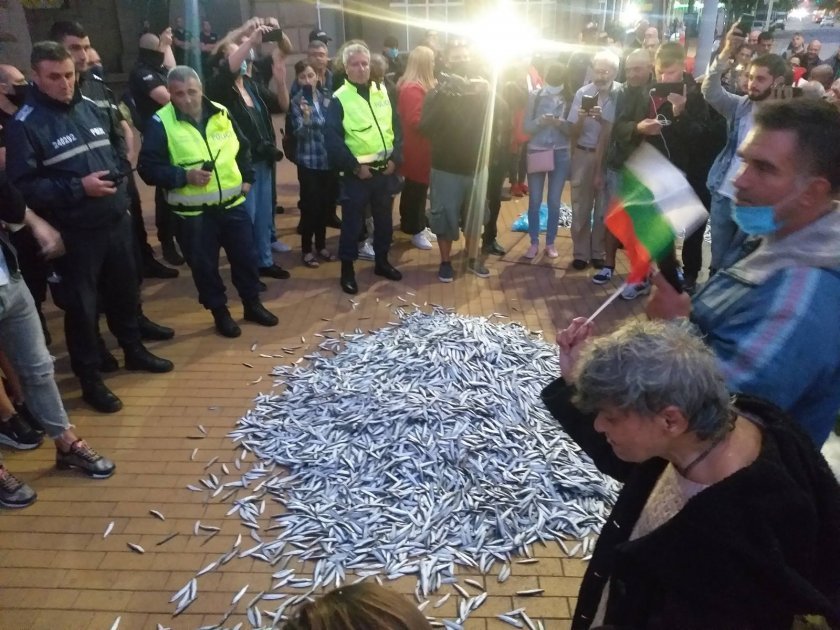 day anti government protests boxes fish emptied outside cabinet building