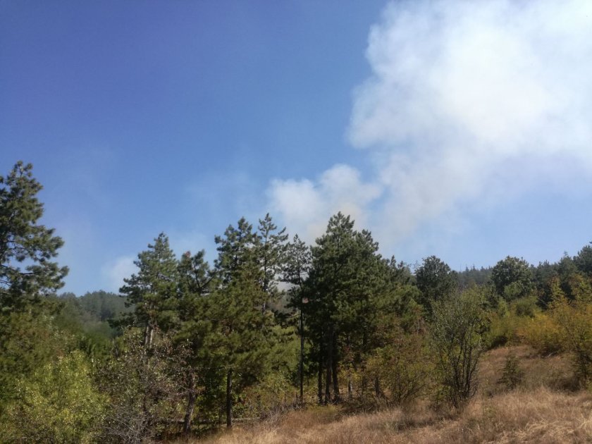 wild fire burning near village iskra southern bulgaria