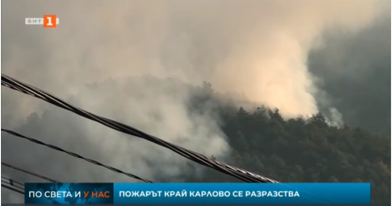 wildfire pine forest near kalrovo getting bigger