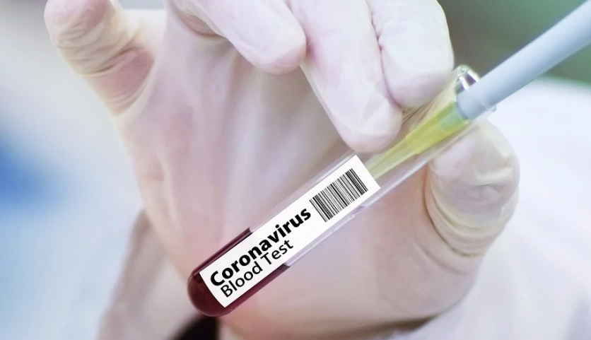 coronavirus bulgaria 216 new cases deaths