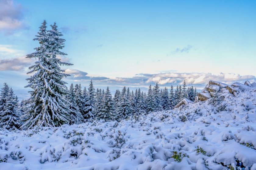 vitosha mountain ndash great place winter walks gallery