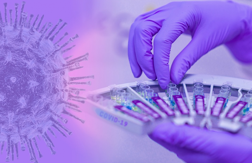 coronavirus bulgaria 1681 new cases test positivity rate