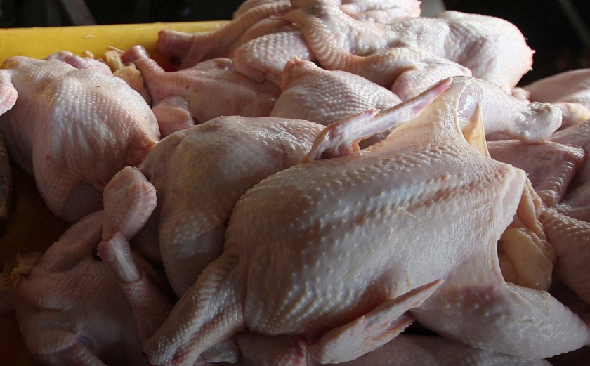 nearly tonnes salmonella infected chicken meat poland desroyed