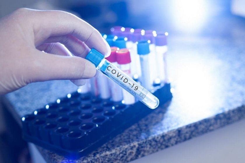 coronavirus bulgaria new cases daily percentage positive tests