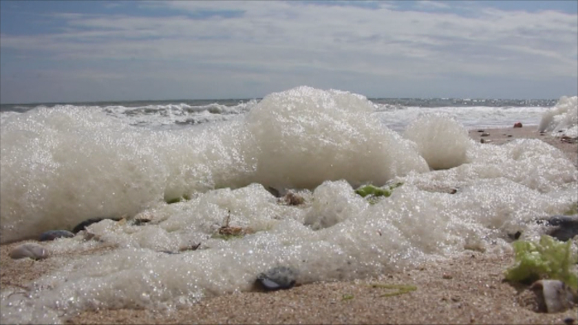 Sea foam seen on the beach at Shabla