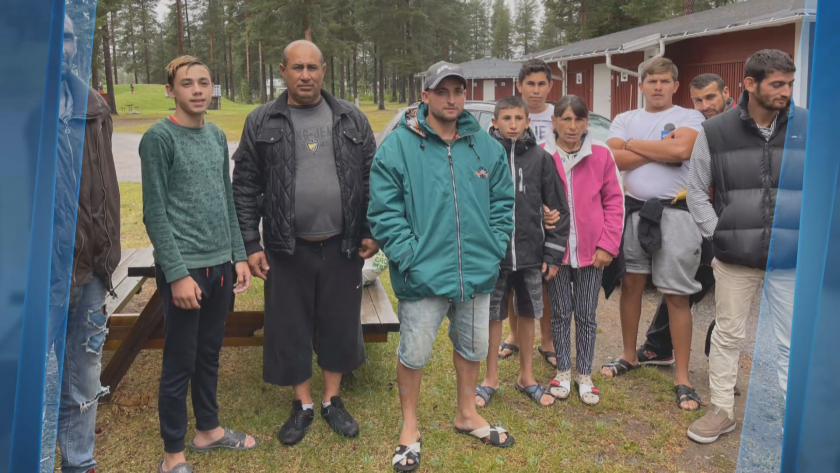 bulgarian berry pickers stranded sweden reach out bnt