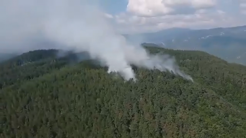 wildfire bulgariarsquos rhodope mountain growing video