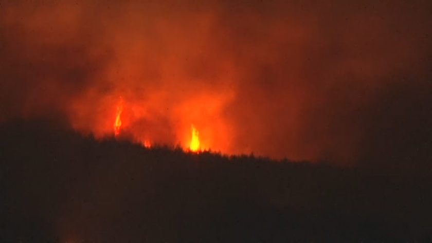 forest fire raging area svilengrad