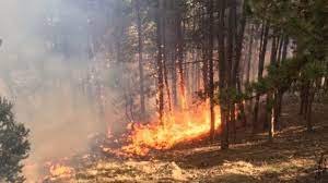 Yugovo köyü yakınlarındaki yangın yerleşim yerlerini tehdit ediyor
