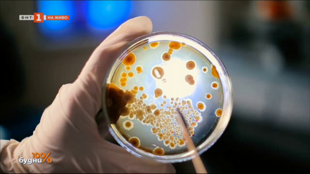 Какво представляват антибиотиците и как те влияят на нашия организъм
