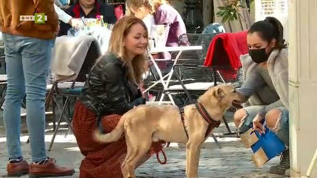 Вдъхновяващи срещи с хора, които придават истинско качество на връзката човек-куче