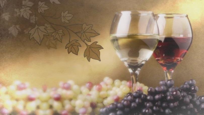 bulgaria celebrates wine vine day ndash trifon zarezan