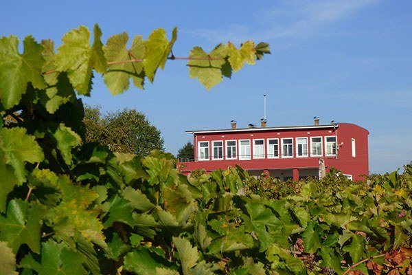 Експерименталната винарска изба на Аграрен университет в Пловдив