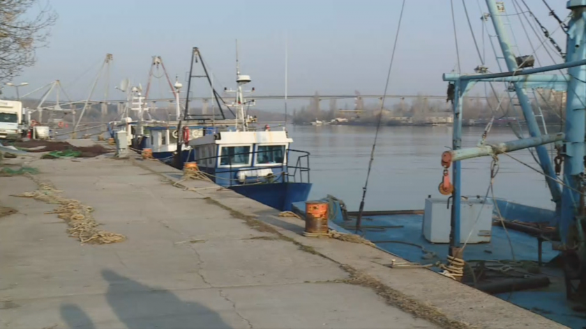 fishermen varna demand suspension fishing over concerns naval mines