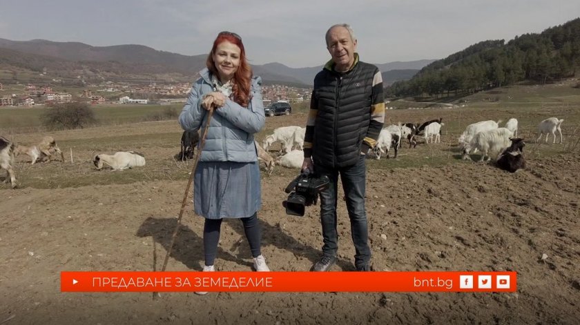 Къде е единствената ферма за скариди на Балканите