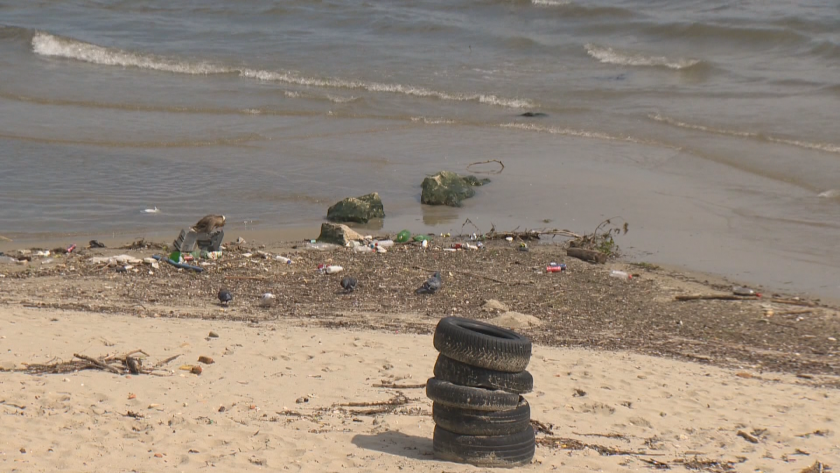 plastic black sea ecological balance disturbed