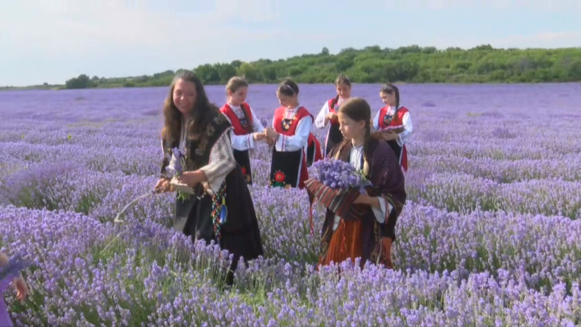 Lavender Festival takes place in Bulgaria’s Chirpan