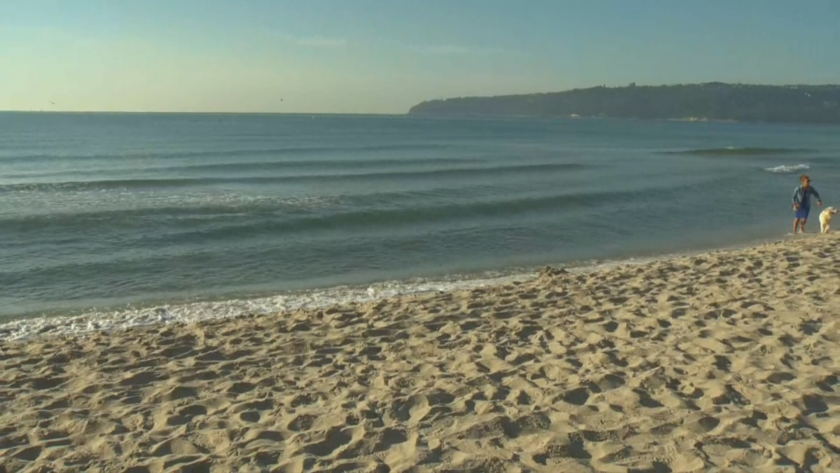 cost renting beach umbrellas beds varna remains unchanged