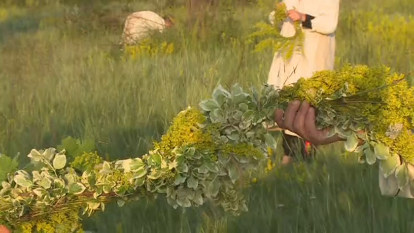Bulgaria celebrates the the day of healing herbs - Midsummer Day