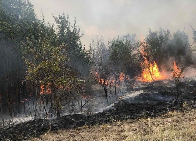 cougar military helicopter took part extinguishing raging flames pazardzhik