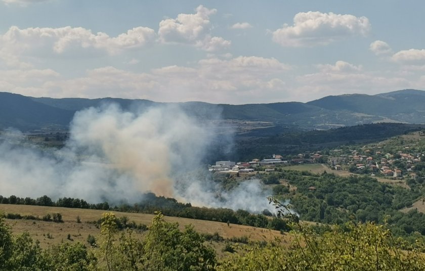 dry grasses bushes burning near village selishte