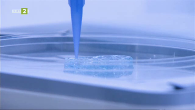 3D принтирани тумори – началото на персонализираната химиотерапия за онкоболни
