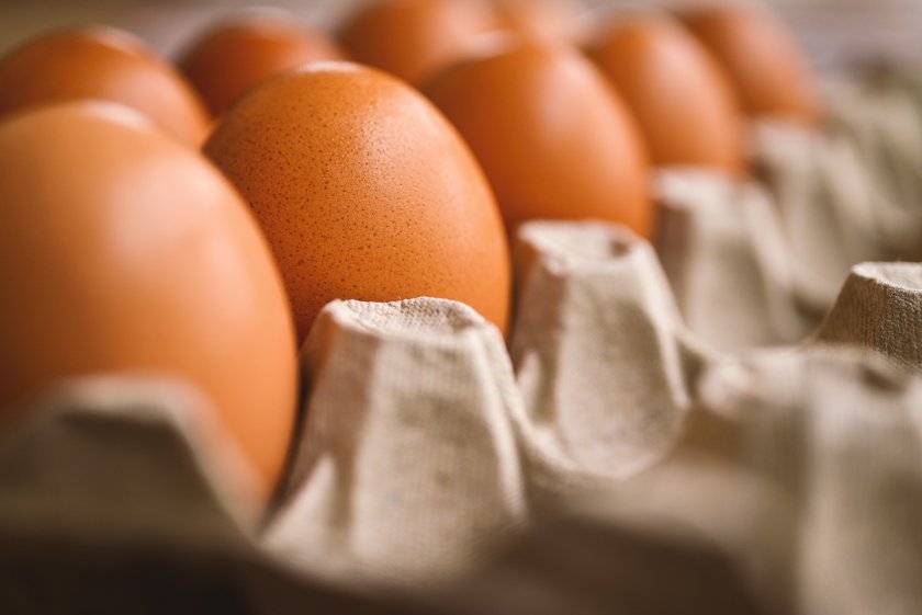 Цените на яйцата вървят все по-нагоре. Каква е причината?