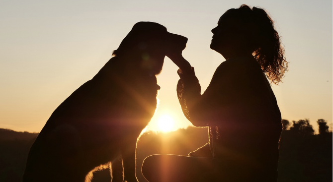 Възможно ли е приложение да подобри връзката между човек и куче