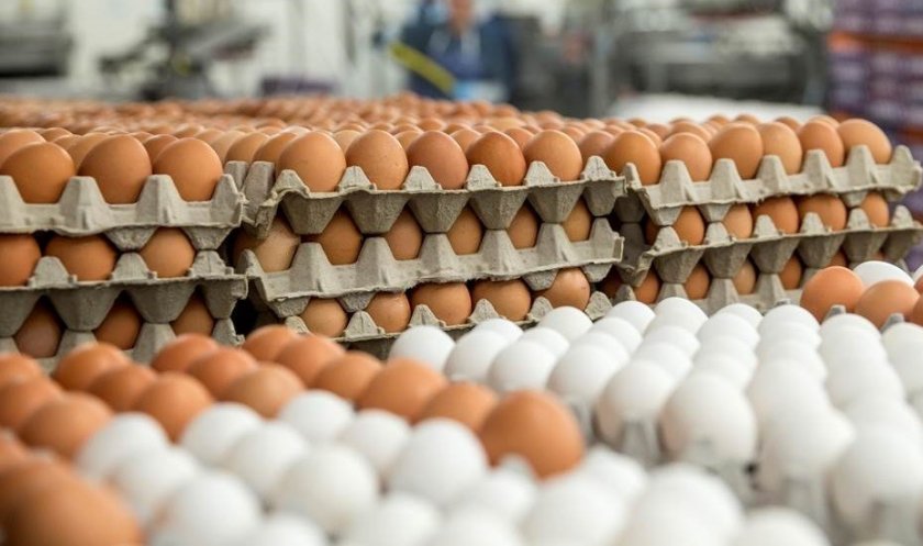Колко ще струват яйцата по Великден и как се стигна до рекордните им цени в магазините