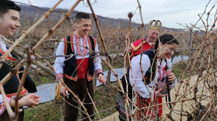 bulgaria celebrates wine vine day ndash trifon zarezan